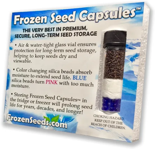 Vista 3 de Wild Zaatar - Semillas de orégano (Origanum syriacum) Más de 30 semillas de hierbas raras de reliquia en cápsulas de semillas congeladas