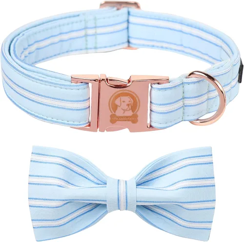 Vista 6 de MR. CHUBBYFACE - Collar de perro de San Valentín con corbatín, lindo collar de perro con corazón azul con hebilla de metal, collar de algodón