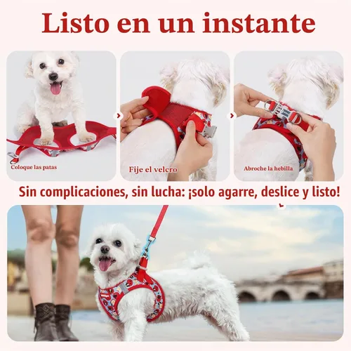 Vista 5 de rabbitgoo Arnés para perro de tamaño pequeño y juego de correa, chaleco Cachorros de manzana