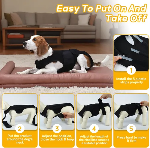 Vista 3 de Soporte de espalda para perros pequeños, soporte de estabilidad espinal, color negro, S Spinal Stability Brace with 5 Flexible Plastic Strips