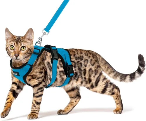 Vista 14 de PUPTECK Juego de arnés y correa para gato a prueba de escape para caminar, chaleco de malla transpirable arnés ajustable para gatos cachorros Negro