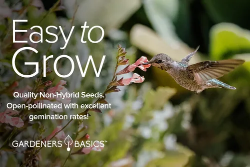 Vista 5 de Gardeners Basics, Semillas de colibrí para plantar al aire libre semillas de flores (paquete de 5 variedades) Zinnia, dedalera, altramuces, gloria