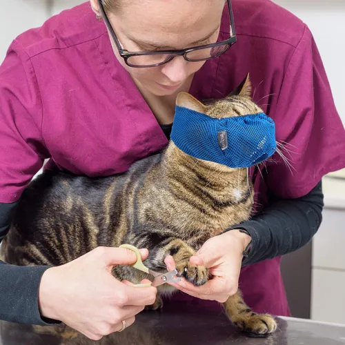 Vista 7 de Weewooday 3 bozales para gatos, bozales de malla transpirable, bolsas de retención para aseo de gatos con bozal antimordeduras antimaullido para Azul