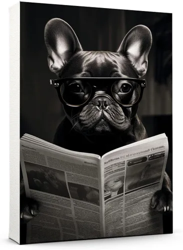 Vista 47 de Thuan Affenpinscher - Póster de lienzo con tus fotos, arte de pared para decoración del hogar, regalo conmemorativo para amantes de las mascotas