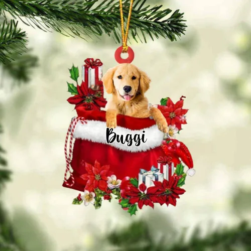Vista 179 de Perro Akita Inu personalizado en bolsa de regalo, adorno de Navidad, nombre personalizado, regalo para amantes de los perros, familia, Navidad