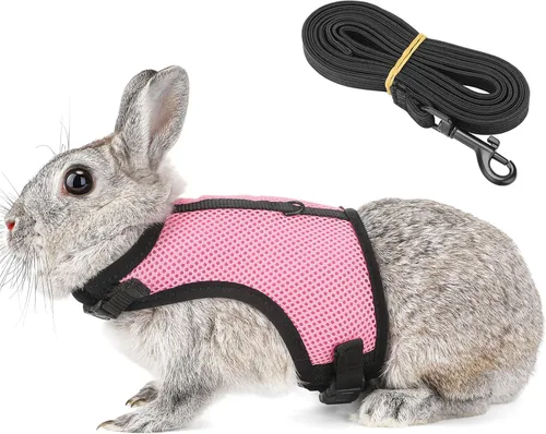 Vista 8 de PETTOM Arnés para conejos con correa elástica, lindo arnés ajustable con hebilla, chaleco de malla transpirable para gatitos y mascotas pequeñas