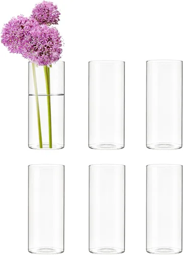 Vista 12 de CYS EXCEL Juego de 6 jarrones de cristal pequeños, pequeños jarrones de flores transparentes para centros de mesa de boda, decoración de mesa
