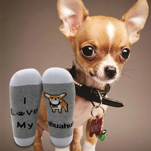 Vista 7 de MBMSO Regalos divertidos de Chihuahua, 2 pares de calcetines con texto en inglés "I Love My Chihuahua", regalo para amantes de Chihuahua