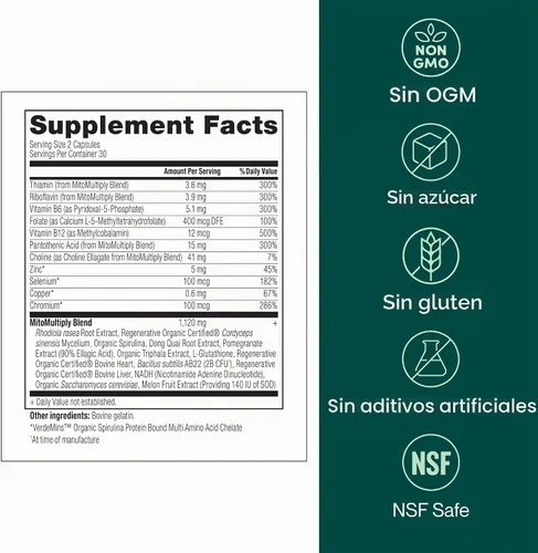 Vista 6 de MitoMultiply - Soporte mitocondrial con glutatión, SOD, catalasa, NADH, Bacillus Subtilis - Aumenta la energía celular, absorción, biodisponibilidad