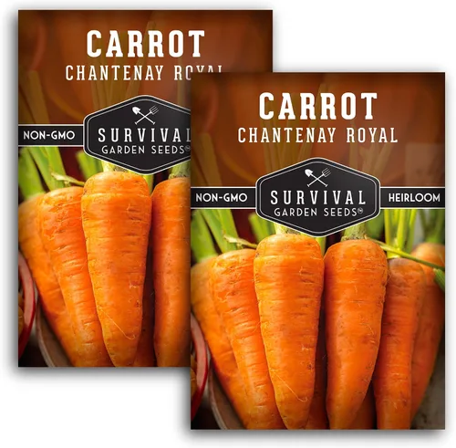 Vista 10 de Royal Chantenay - Semillas de zanahoria para plantar, zanahorias cortas tradicionales para suelos pesados, raíces dulces y tiernas para cosechas