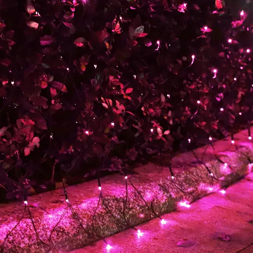 Vista 5 de Curyidy Red solar de luces de malla para exteriores, decoraciones de Navidad, cadena de 200 LED, impermeable, 19 modos para arbustos, vallas Rosado2