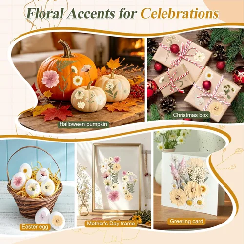 Vista 2 de 120 piezas de flores secas prensadas secas florales para decoración de Flores prensadas boho