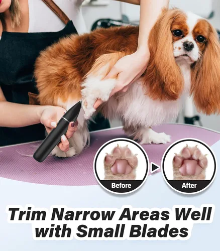Vista 2 de Casfuy - Cortador de pelo inalámbrico para patas de perro, cortaúñas de ruido bajo para perros pequeños con cuchillas dobles, USB recargable Negro