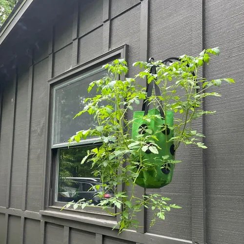 Vista 5 de Macetero de tomate al revés de 3 galones, maceta colgante de fresa, bolsas de cultivo de tela de aireación duradera para verduras