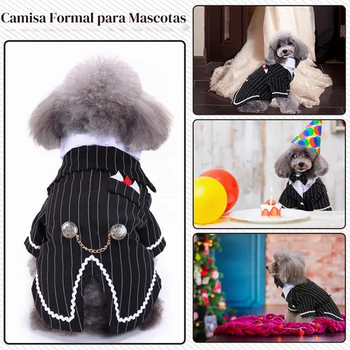 Vista 7 de DENTRUN - Traje de esmoquin para perro con corbatín - Camisa formal de disfraz para mascotas a rayas en negro y blanco, elegante atuendo de boda