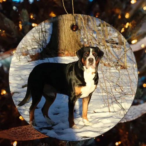 Vista 4 de Adornos para árbol de Navidad 2023 para perro, camino de invierno, recuerdo de cerámica para nieve, decoración de árbol de Navidad, bola colgante