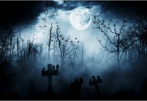 Vista 5 de Leyiyi Telón de fondo gótico de Halloween de 5 x 3 pies, grunge, cementerio, tumba, piedra cruz, cuervos, bosque brumoso, luna llena, murciélagos