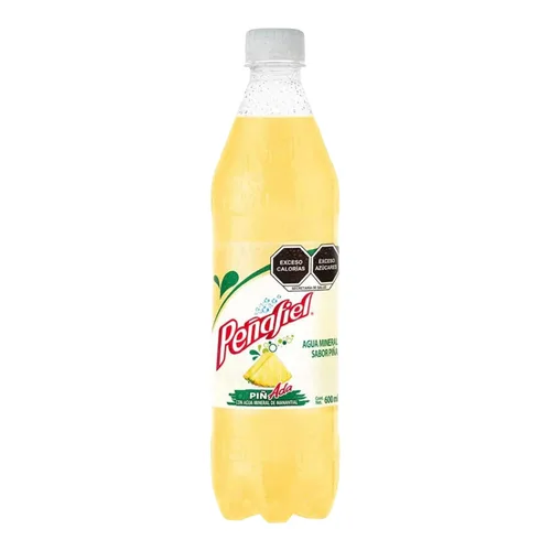 Vista 2 de PEÑAFIEL (paquete de 12) 20.2 fl oz - Hecho en México (Piña - Piña)