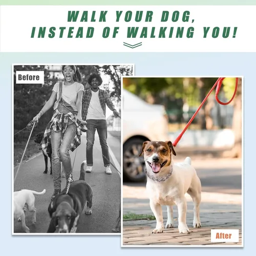 Vista 5 de Collar de entrenamiento para perros con puntas curvadas con anillo giratorio ajustable