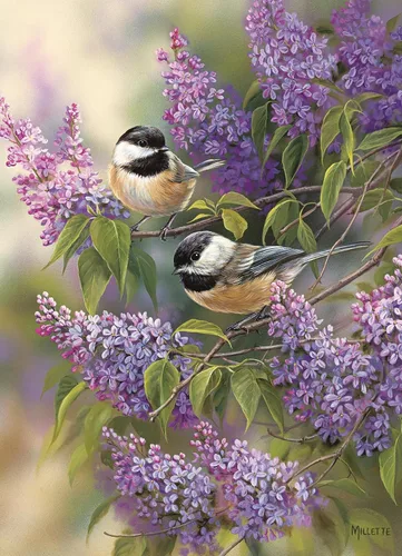 Vista 3 de Cobble Hill - Rompecabezas de 1000 piezas - Chickadees and Lilacs - Póster de muestra incluido