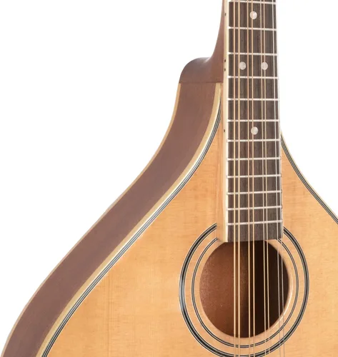 Vista 3 de Gold Tone OM-800+ Mandolina de octava (caoba)