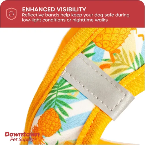 Vista 22 de Downtown Pet Supply Arnés para perro Step-in – Sin tirones, malla acolchada ajustable con ribete reflectante, correa de hebilla segura – Arnés