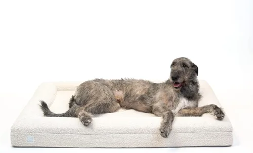 Vista 15 de Luxury Boucle - Cama ortopédica de espuma viscoelástica para perro con forro impermeable y funda lavable a máquina con cremalleras YKK