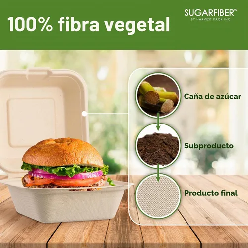 Vista 3 de Harvest Pack - Contenedores compostables de 6 x 6 pulgadas (paquete de 50), caja Bento de 4 pulgadas sin PFAS con certificación BPI para tartas
