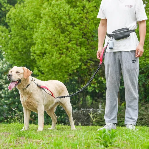 Vista 6 de Correa de perro manos libres para perros de hasta 130 libras - Correa elástica resistente que absorbe los golpes con bolsa de cremallera, asas