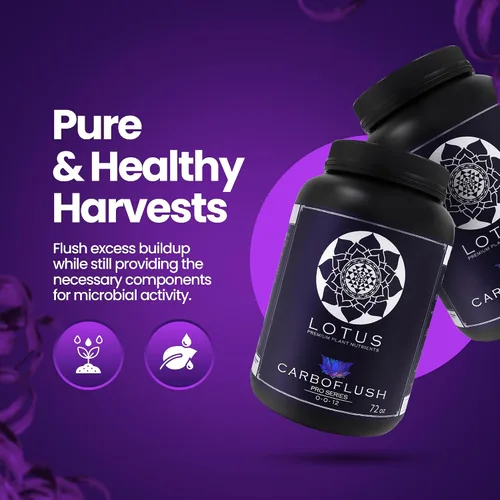 Vista 5 de CarboFinish - Edulcorante y enjuague para la etapa de cosecha, mejora la resina, el aceite y la potencia, polvo de nutrientes naturales para suelo