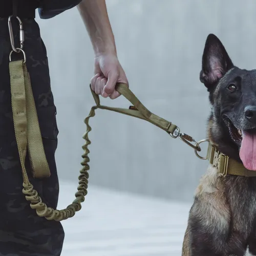 Vista 8 de EXCELLENT ELITE SPANKER Correa táctica militar para perro, clips de gancho de aluminio espaciales, correa elástica para perro con 2 asas de control