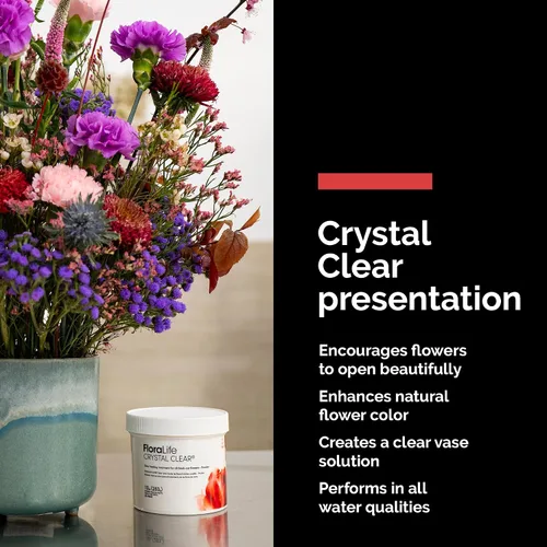 Vista 10 de Floralife Crystal Clear. Alimento en polvo para flores cortadas. Paquete de 10 onzas.