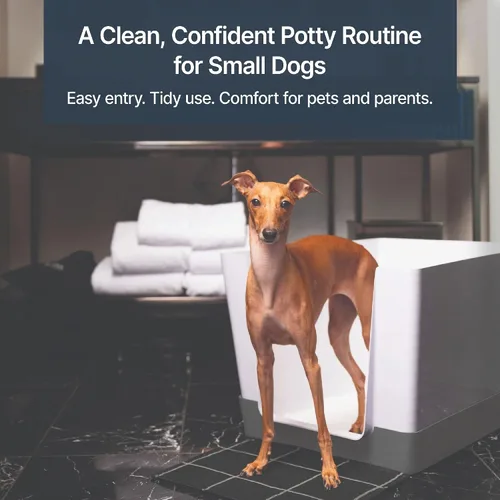 Vista 2 de Doggy Bathroom Orinal para perros de interior con paredes altas para perros pequeños (regular, gris oscuro)
