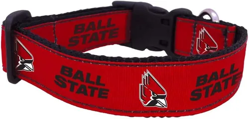 Vista 46 de Collar de Perro Universitario (Pequeño, Fuerza Aérea)
