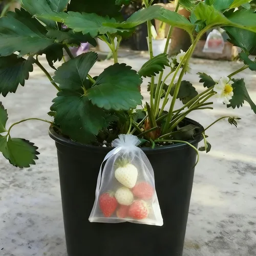 Vista 3 de YunKo - 50 bolsas de organza blanca de 6.5 x 9 pulgadas con cordón de malla Blanco