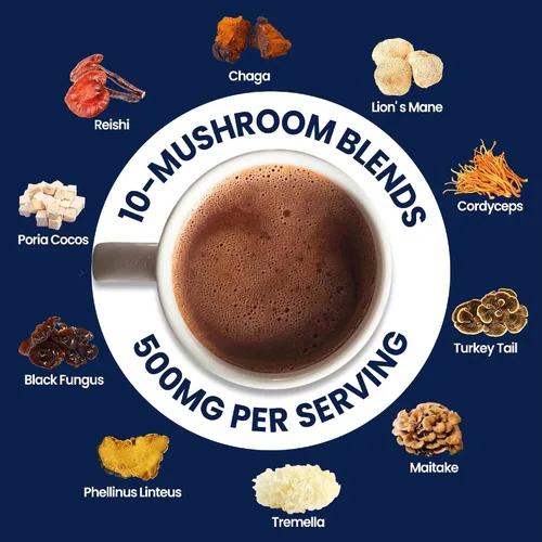 Vista 4 de Chocolate caliente de hongos para la calma, 50 porciones de cacao en polvo 10 suplementos de hongos con glicinato de magnesio, L-teanina