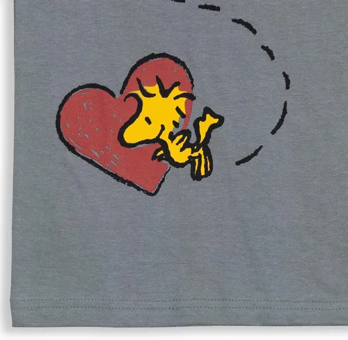 Vista 6 de PEANUTS Woodstock Snoopy Graphic - Camiseta para niños pequeños y grandes