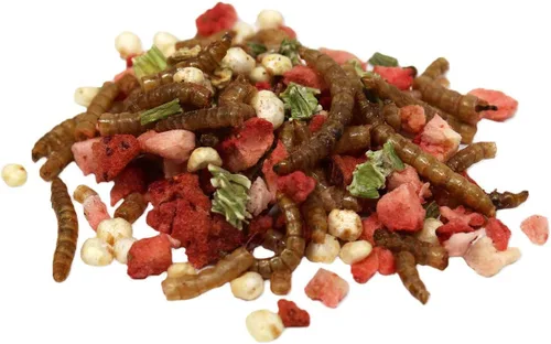 Vista 3 de Sunseed Vita Prima Hedgehog Treat - Wigglers & Berries