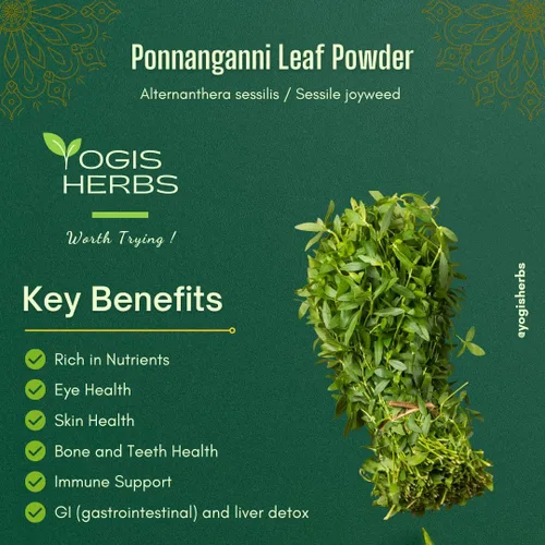 Vista 2 de YOGIS HERBS Ponnanganni Leaf Powder (Sessile joyweed) – Suplemento holístico de salud para ojos, piel, huesos y bienestar inmunológico Ayuda