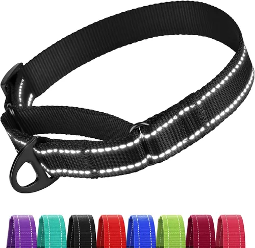 Vista 10 de CollarDirect Martingale - Collar de nailon resistente para perros pequeños, medianos y grandes [nailon, estampado, aguamarina, L, 15-20 pulgadas)