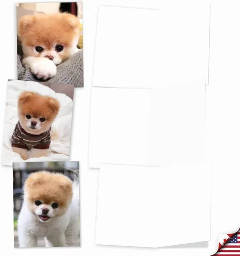 Vista 4 de The Best Card Company - 10 tarjetas de felicitación para perros en blanco para todas las ocasiones (4 x 5.12 pulgadas) - Boo El perro más lindo