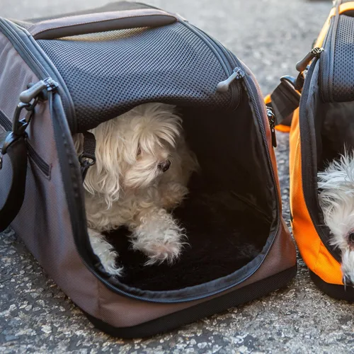 Vista 8 de Sleepypod Portador de mascotas para cabina de avión, talla única , Chocolate scuro Chocolate oscuro