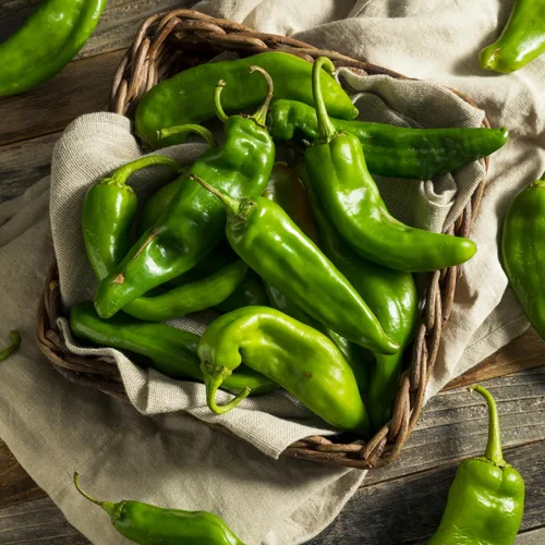Vista 7 de 505 Southwestern Salsa estilo restaurante, 16 oz — Salsa suave y vertible de Nuevo México con escotilla asada a la llama Green Chile