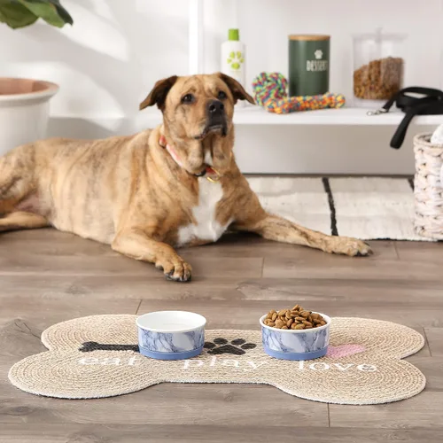 Vista 4 de Bone Dry Cuencos de cerámica antideslizantes para mascotas, aptos para lavavajillas, juego pequeño, 4.25 x 2, azul, 2