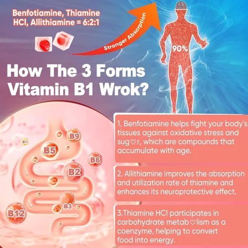 Vista 5 de Gomitas de complejo de vitamina B1 y vitamina B metilada, vitaminas B amigables con GLP-1 + benfotiamina + tiamina e inositol, multivitaminas B1 B2