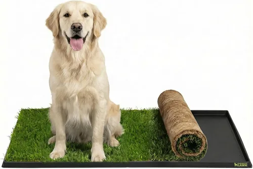 Vista 8 de DoggieLawn Orinal para perros - Hierba real - XL 24 x 48 pulgadas