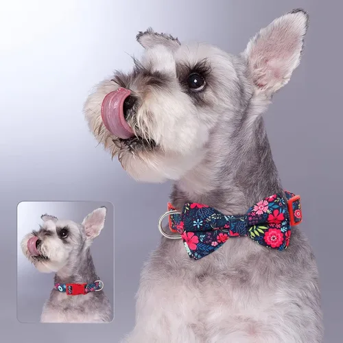 Vista 2 de Didog Collar floral para perro con lazo, lindos collares de perro con lazo desmontable, suave y cómodo collar de perro de primavera y verano