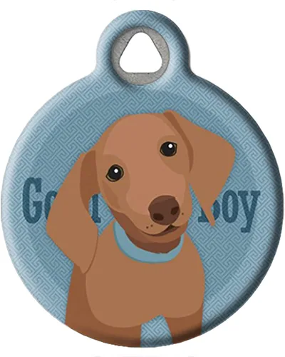 Vista 9 de Good Boy Airedale - Etiqueta de identificación personalizada para mascotas para perros y gatos, tamaño grande Airedale Good Boy