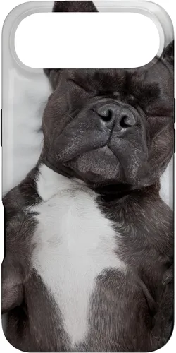 Vista 27 de Carcasa gráfica de Bulldog Francés para iPhone 17