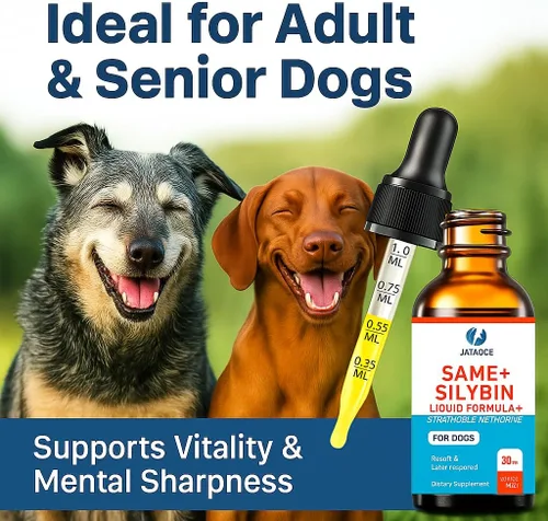 Vista 3 de SAMEe - Gotas líquidas para perros, 500 mg iguales con silibina, soporte hepático de 1 oz Bacon Liver Flavored Liver Support Supplement for Dogs